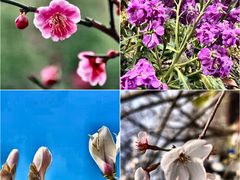 -宁波儿童公园(鄞州区)