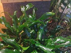 -老船舫·现做活鲜鱼馆(东郊记忆店)