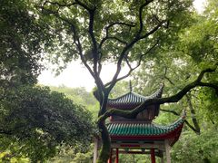 -岳麓山风景名胜区