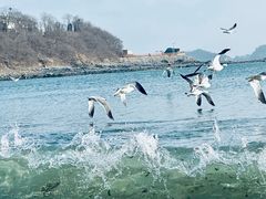 -银沙滩浴场