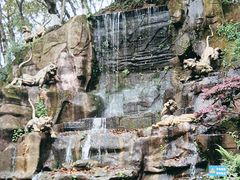-重庆平顶山公园