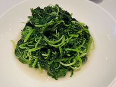 清炒豆苗-上海总会SHANGHAICLUB(兴业太古汇店)