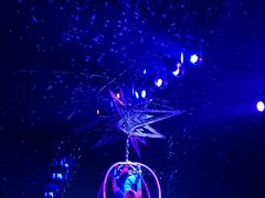 -珠海横琴长隆《卡卡虎奇遇记》