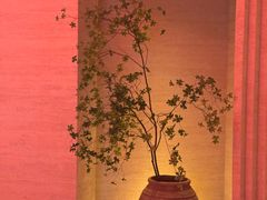 -舒小悦·舒养SPA·古法推拿(光环中心店)