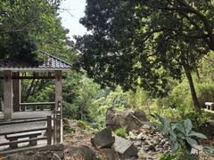 -火炉山森林公园