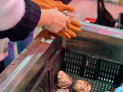 生蚝-渔人湾码头海鲜市场负二楼