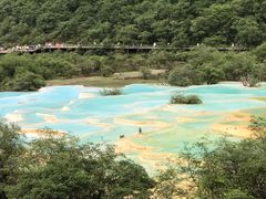 -黄龙山原始森林景区