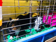 -南京时尚莱迪购物广场(正洪街店)