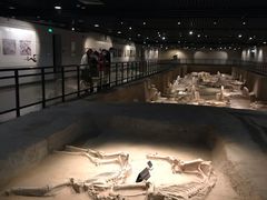 -洛阳周王城天子驾六博物馆