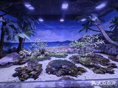 -郑州海洋馆