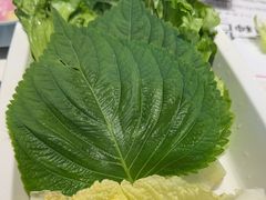 -老谢野馄饨(延安路店)