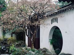 -艺圃