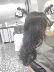 点击看大图 -Tloml salon