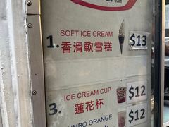 -富豪雪糕车流动点(尖沙咀店)
