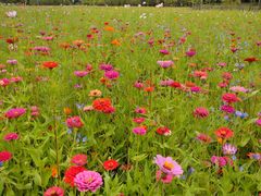 -贵阳市花溪国家城市湿地公园