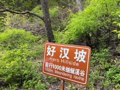 -雾灵西峰