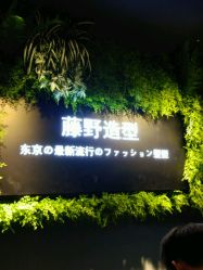 点击看大图 -藤野造型
