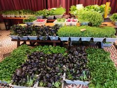 -永安鱼庄·镇江菜(丁卯店)