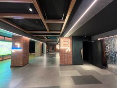 -金逸影城(大悦城IMAX激光店)