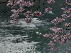 -红星桥(地铁站)