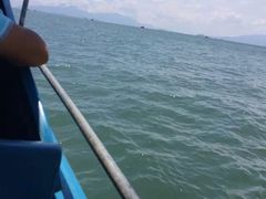 -巽寮湾
