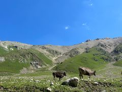 -新疆那拉提国家旅游度假区