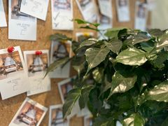 -LAB COFFEE来杯咖啡(浦仓路店)