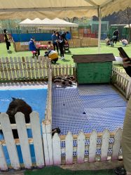 -萌宠亲子动物乐园(槐房万达店)