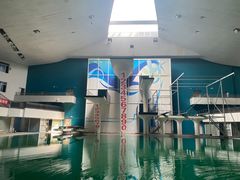 -重庆市奥林匹克体育中心-游泳跳水馆