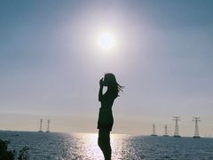 -宝安西湾红树林湿地公园