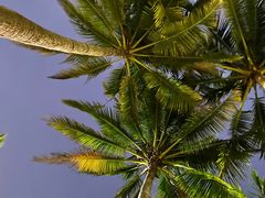 -海南分界洲岛旅游区