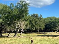 -卡塞拉自然公园