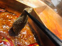 -锅说大脸毛肚重庆老火锅(佐阾店)