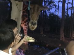 -清迈夜间动物园