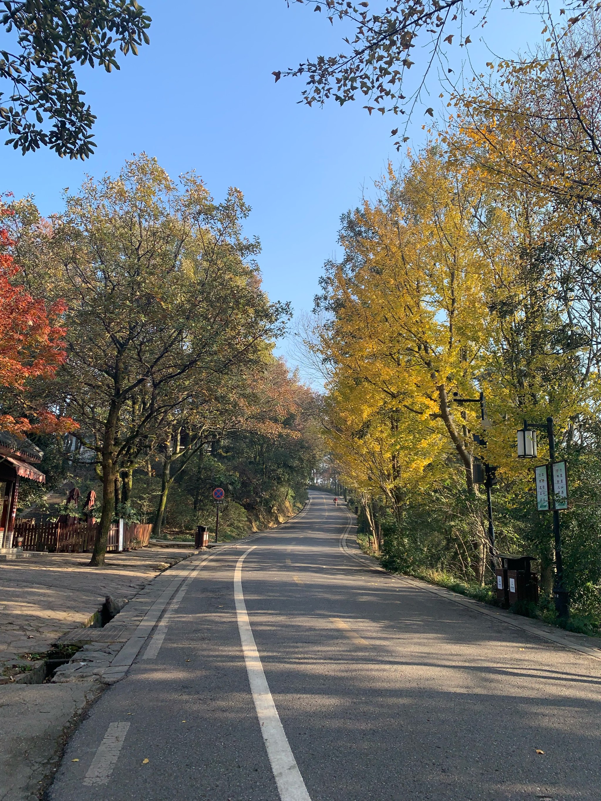 岳麓山风景照图片