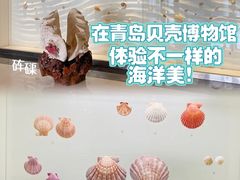 -青岛贝壳博物馆