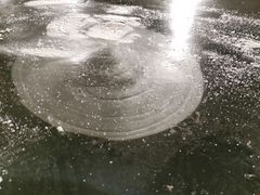 -南湖大桥