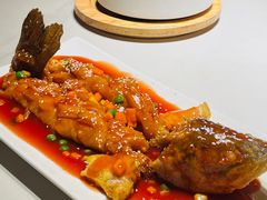 -宋小谨(惠安禹洲店)