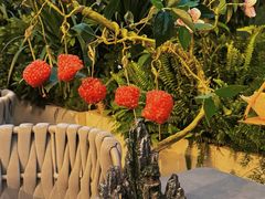 -故里和山·成都火锅(欢乐港湾店)