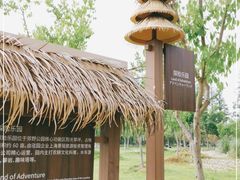 -上海长兴岛郊野公园