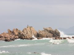 -西涌国际滨海旅游区