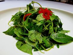 -南阳食府·河南豫菜(南阳驻京办店)