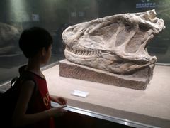 -自贡恐龙博物馆