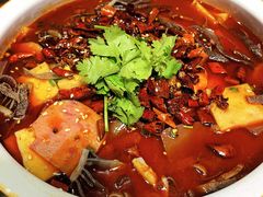 -江南大院松鼠桂鱼(奉贤宝龙店)