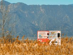 -野鸭湖国家湿地公园