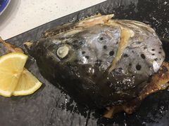 -京樽回転寿司(奥林匹克店)