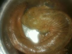 -土家乙号生态农庄·餐厅