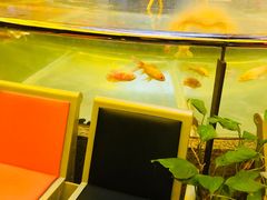 -中影国际影城(兰生大厦CINITY LED店)