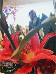 -罗亚帝造型·烫发染发