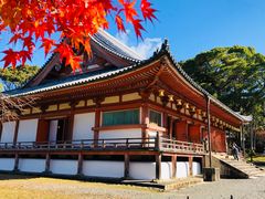 -醍醐寺
